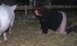 pig porn