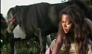 animals porno