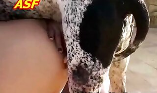 animal fuck