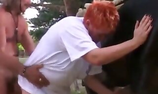 beastiality porn