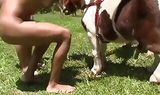 hd zoo