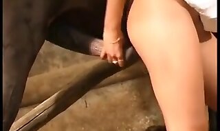 xxx horse