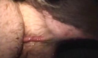 pig porn