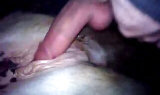 porno dude