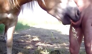 zoo cock