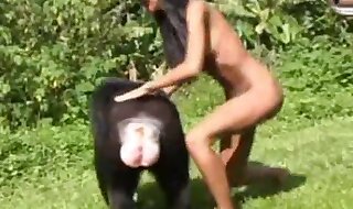 monkey sex