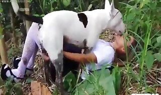 animal girl fucked