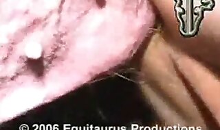 pig porn